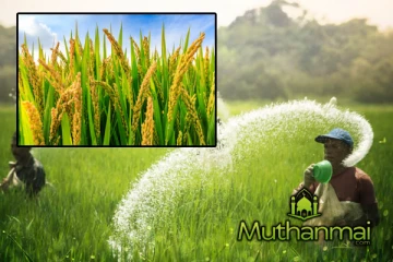 விவசாயிகள் தொடர்பில் அரசாங்கம் வெளியிட்டுள்ள நம்பிக்கை