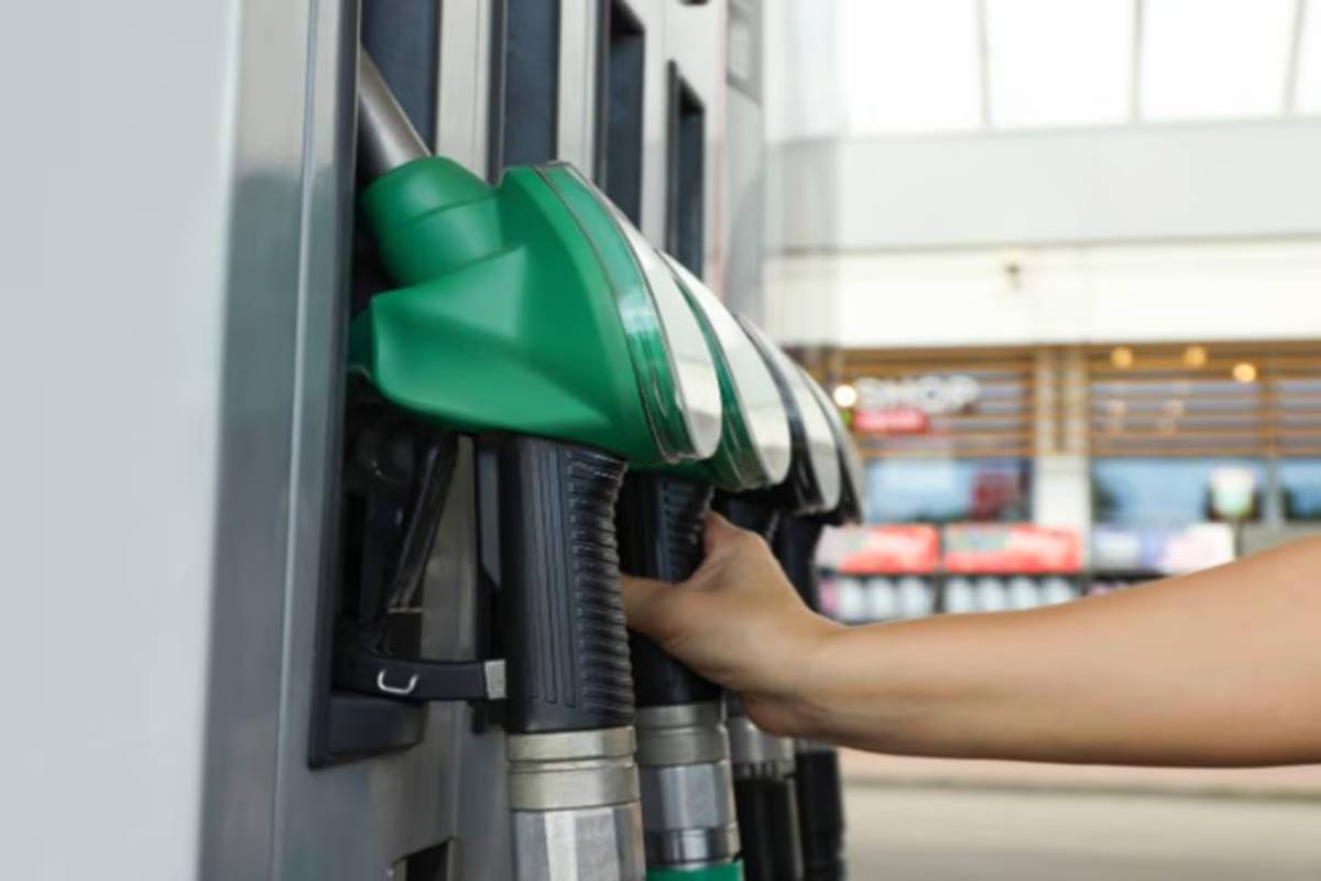 பெட்ரோல், டீசல் மூலம் இந்தியா பெறும் வருமானம்.., எவ்வளவு கோடி தெரியுமா? | The Revenue India Derives From Petrol And Diesel