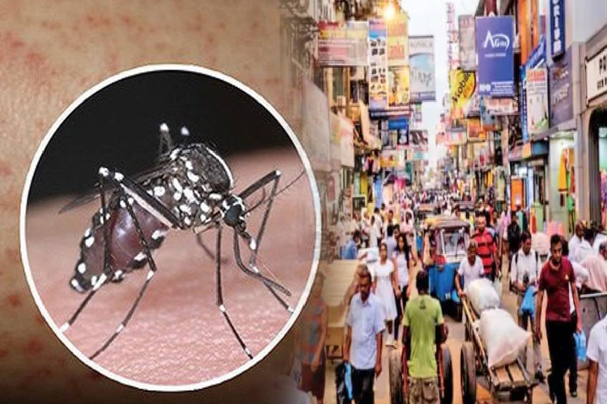 கொழும்பு மக்களுக்கு வந்த அடுத்த ஆபத்து..! இன்றும் பதிவான மரணம் | Dengue Deaths Increase In The Country