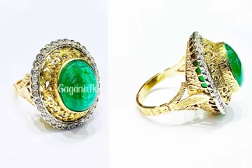 හිටපු ජනපති සොහොයුරුගේ කෝටියක මුද්දක් සොරාගෙන හම්බන්තොටට පනී..