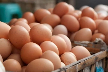 முட்டை விலை தொடர்பில் எடுக்கப்பட்டுள்ள தீர்மானம்