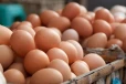 முட்டை விலை தொடர்பில் எடுக்கப்பட்டுள்ள தீர்மானம்