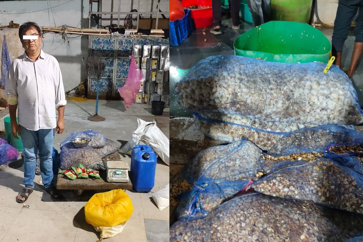 4,000 கிலோகிராம் கலப்பட இஞ்சி பூண்டு விழுது பறிமுதல்: அதிர்ச்சியை உருவாக்கியுள்ள தகவல் | 4000 Kg Ginger Garlic Paste Seized In Hyderabad