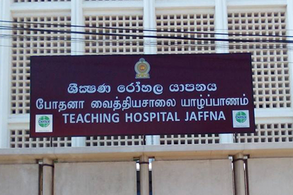 மூளைக் காய்ச்சலால் பாதிக்கப்பட்ட கிராமசேவகர் உயிரிழப்பு: யாழில் சோகம் | Tragedy In Jaffna Gramsevakar Died Of Brain Fever