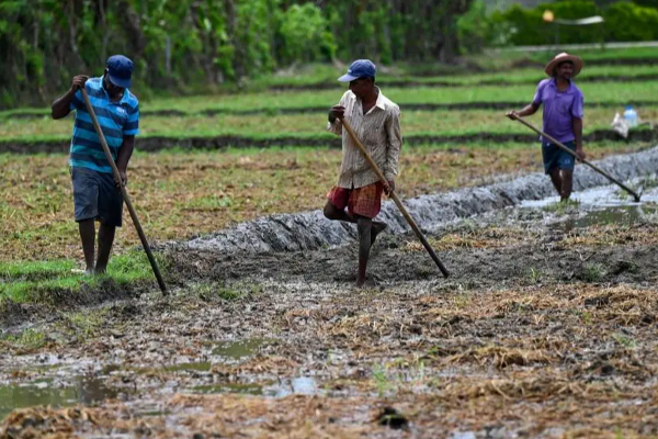கருப்பு சந்தையில் டீசல் பெற்று அறுவடை செய்யும் விவசாயிகள் | Diesel From Black Market To Harvest