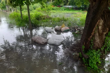 யாழில் வீதிகளில் வீசப்படும் கழிவுகள்:மக்கள் விசனம்(Photos)