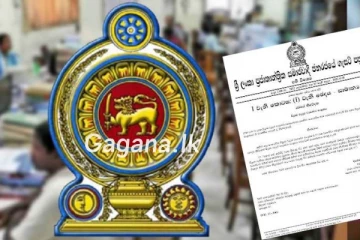 රාජ්‍ය සේවකයින්ට විදෙස්ගතවීමට දුන් සහනය සංශෝධනය කරයි..