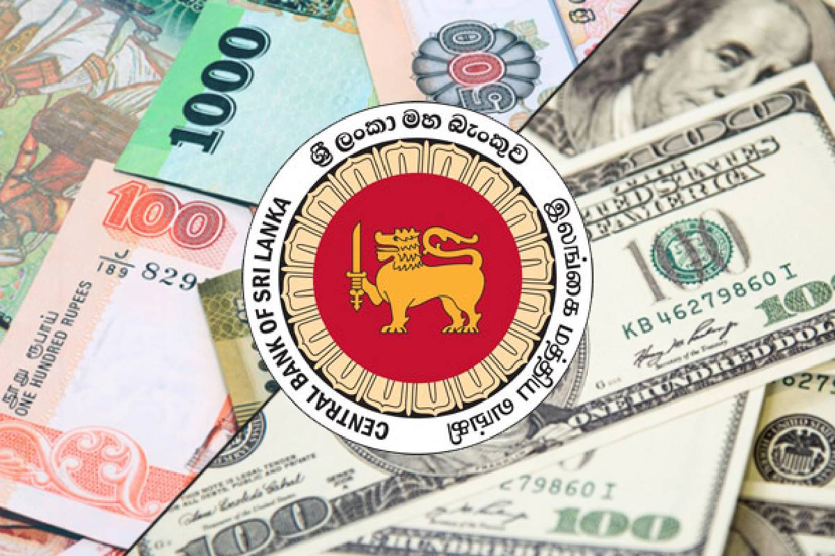 டொலருக்கு எதிராக ரூபாயின் பெறுமதி மேலும் உயர்வு | Rupee Value Rises Further Against The Dollar 23Sep டொலருக்கு எதிராக ரூபாயின் பெறுமதி மேலும் உயர்வு | Rupee Value Rises Further Against The Dollar 23Sep