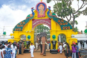 கதிர்காமம் காட்டுப்பாதை திறப்பு; பக்தர்கள் மகிழ்ச்சி