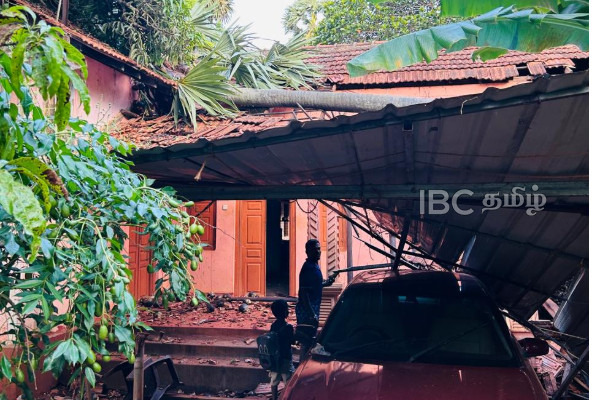 யாழில் வீட்டின் மீது முறிந்து விழுந்த மரம் | Strong Winds In Jaffna Tree Falls On House Damage