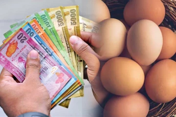 முட்டையின் விலையில் ஏற்பட்ட திடீர் மாற்றம்