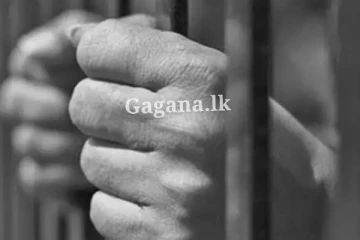 ටී ෂර්ට් එකක් ඇඳගෙන ඉඳලා සිර භාරයට.. වෙලා තියෙන දෙය ඇහුවොත් පුදුම හිතෙයි..