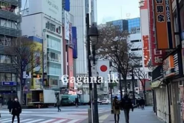 ලොව වැඩිම වැඩිහිටි ජනගහනය ජපානයේ...