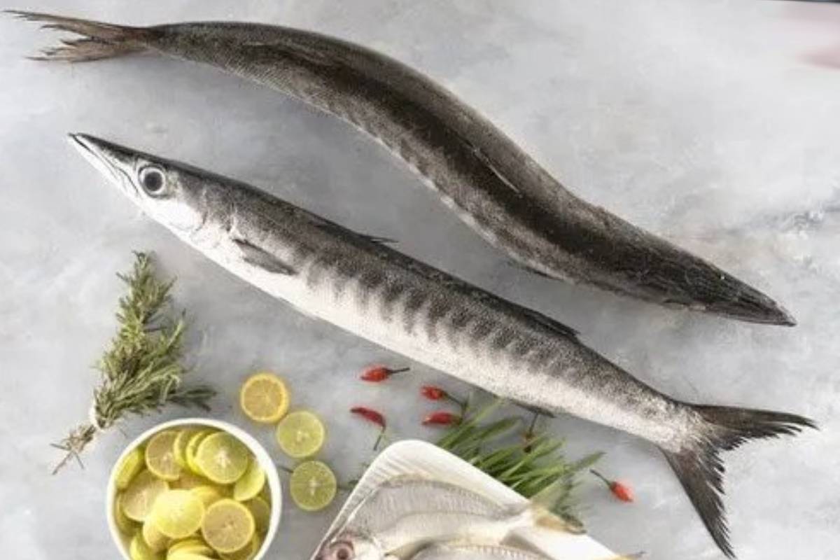 சீலா மீன் வாங்குனா இப்படி பொடிமாஸ் செய்ங்க - பத்து நிமிடம் போதும் | How To Make Seela Fish Podimass Recipe Details