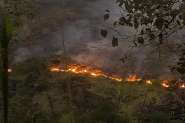 இராவண எல்ல வனப்பகுதியில் தீ