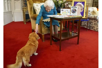 இணையத்தில் வைரலாகும் பிரித்தானியா மகாராணியின் செல்லப்பிராணி!