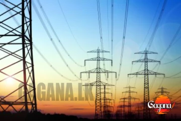 දේශීය විදුලි බලයට අඩු සැලකිලි දී පිටරටින් වැඩි ගාණට විදුලිය ගැනීම අසාධාරණයි - සංජීව ධම්මික