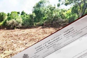 வவுனியா காடழிப்பு தொடர்பில் விசாரணை அறிக்கை சமர்ப்பிக்குமாறு அரச அதிபர் கோரிக்கை