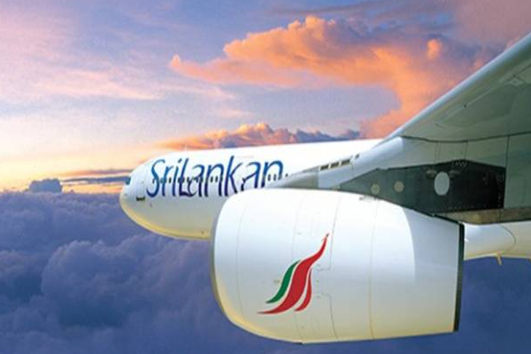 இலங்கையில் பெருந்தொகை வருமானத்தை ஈட்டிய துறை! | Srilankan Airlines Earned Huge Amount Of Income