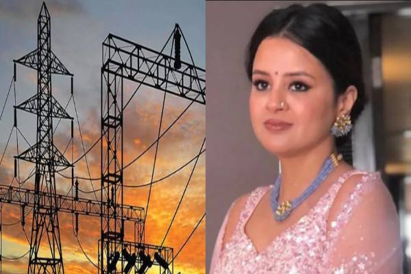 தொடர் மின்வெட்டு பிரச்சினையால் மக்கள் அவதி - அரசை சரமாரியாக கேள்வி கேட்ட தோனியின் மனைவி - தமிழ்நாடு