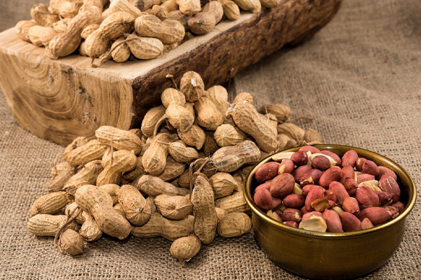 இது தெரிஞ்சா பாதாம் தோலை தூக்கி எறிய மாட்டீர்கள்!! | Benefits Of Almonds Skin