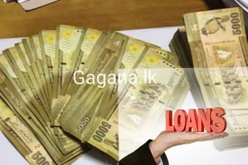 පොලී රහිත ණය ගන්න මෙන්න විශේෂ අවස්ථාවක්..හැබැයි මේ අයට පමණයි..