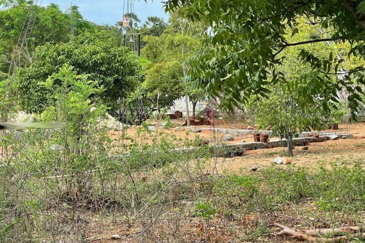 தையிட்டி விகாரைக்கு சென்ற தவிசாளர் உள்ளிட்டோரை திருப்பி அனுப்பிய பொலிஸார் | Police Turned Away Those Who Went Thaiyiddy Vihara தையிட்டி விகாரைக்கு சென்ற தவிசாளர் உள்ளிட்டோரை திருப்பி அனுப்பிய பொலிஸார் | Police Turned Away Those Who Went Thaiyiddy Vihara