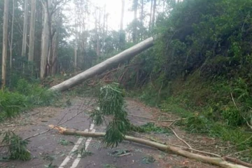தியத்தலாவ வீதியை பயன்படுத்துவோருக்கு முக்கிய அறிவிப்பு