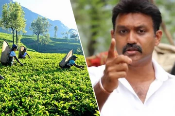 தோட்ட தொழிலாளர்களின் சம்பள பிரச்சினைக்கான தீர்வு: செந்தில் தொண்டமான் வெளியிட்டுள்ள கருத்து(Video)