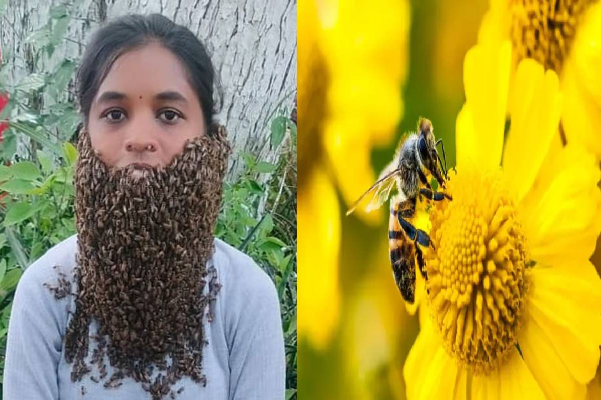 முகத்தில் தாடி போல் 20 ஆயிரம் தேனீக்கள்! கெத்து காட்டிய கோவை மாணவி | Student Creates Awareness With 20000 Bees On Face