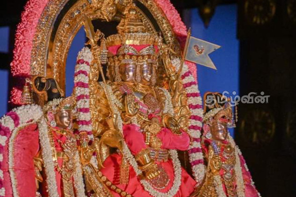 யாழில் சிறப்புற நடைபெற்ற நல்லூரானின் திருக்கல்யாண உற்சவம் (Photos) | Nallur Kandaswamy Kovil Festival Jaffna