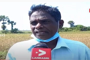 கோட்டாபய அரசாங்கத்திடம் சாட்டையடி கேள்வி! இருள் சூழ்ந்துவரும் ஆபத்து தொடர்பில் எச்சரிக்கை(Video)