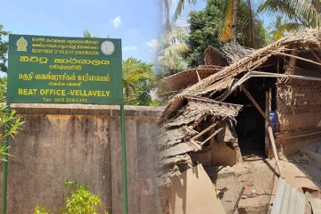 மட்டக்களப்பில் யானை தாக்கி பாதுகாப்பு உத்தியோகத்தர் பலி