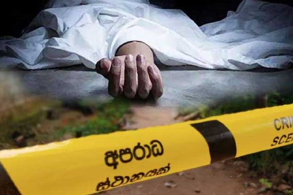 மோட்டார் சைக்களில் மீது முறிந்து விழுந்த மரம்: ஒருவர் பலி | One Person Dies After Tree Falls On Motorcycle