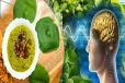 நினைவாற்றலை அதிகரிக்கும் வல்லாரைக் கீரை சட்னி