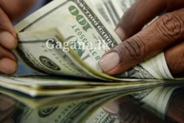 ඊයේ එක්ක බලද්දි ඩොලරයට අද මොකද වුණේ දන්නව ද?. (PHOTO)