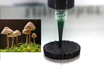 காளானில் பேட்டரியை உருவாக்கிய விஞ்ஞானிகள்!