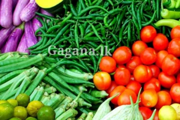 එළවළු කාලත් හමාරයි?. මොකක්ද මේ වුණේ?.