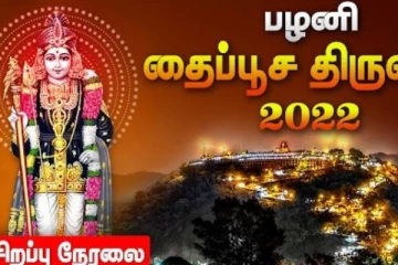 புகழ்பெற்ற பழனி தைப்பூச திருவிழா திருக்கல்யாணம்! நேரலை வீடியோ