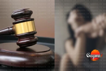 මන්ත්‍රීවරියකට ලිංගික අතවර කරලා - සැකකරුගෙ නීතිඥයාගෙන් උසාවියට වෙනස්ම හෙළිදරව්වක්