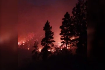 பிரிட்டிஷ கொலம்பியாவில் காட்டுத் தீயில் வீடுகள் தீக்கிரை