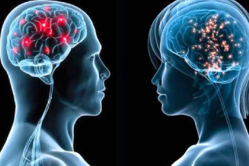 மூளையின் நினைவாற்றலை அதிகரிக்க என்ன செய்ய வேண்டும்?