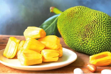 உலக பலாப்பழ தினம் இன்று!