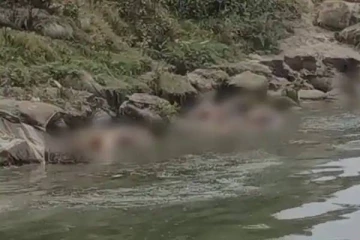 கங்கை ஆற்றில் கொத்து கொத்தாக தொடர்ந்து மிதக்கும் சடலங்கள்! பெரும் பீதியில் இருக்கும் மக்கள்