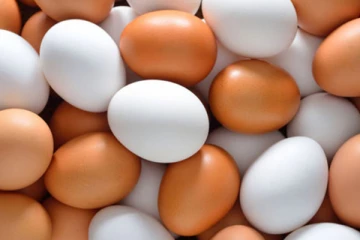 බිත්තරයක මිල රුපියල් 50ක් දක්වා ඉහළ යයි?!!!