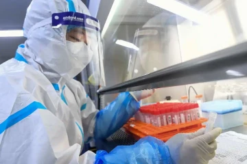 விலங்குகளிலிருந்து புதிய கோவிட் திரிபு உருவாகும் அபாயம்! ஆய்வில் வெளியான தகவல்