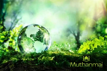 சுற்றுச்சூழலை சுத்தமாக பேணாதவர்களுக்கு எதிராக சட்ட நடவடிக்கை