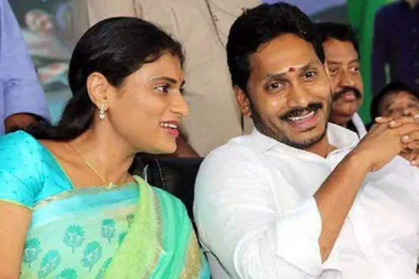 மயங்கி விழுந்த முதலமைச்சரின் சகோதரி - மருத்துவமனை வெளியிட்ட பகீர் அறிக்கை! | Jagan Mohan Reddy Sister Sharmila Health Condition