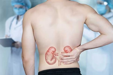 சிறுநீரகத்திற்கு தீங்கு விளைவிப்பவை இவைகளா?