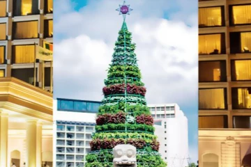 கொழும்பில் மரக்கறிகளால் பிரம்மாண்டமாக உருவாக்கப்பட்டுள்ள நத்தார் மரம் (Photo)